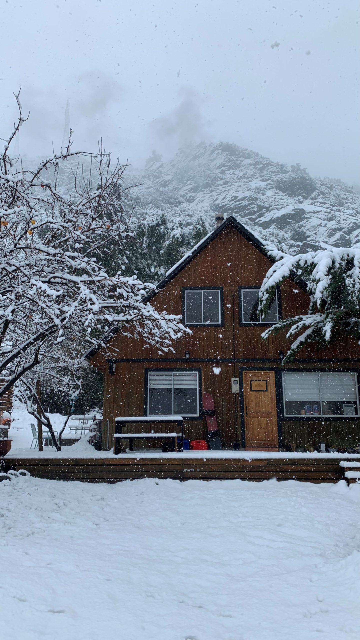 0586B0D1-A483-4EE8-BB97-DA8571A6F05C